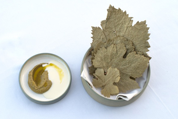 Tegui-LATAM-2018-DISH1